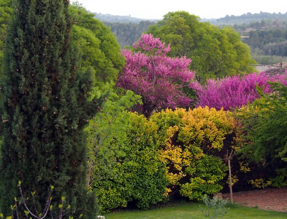 سان لوران دو فيردون Hotel Le Moulin Du Chateau المظهر الخارجي الصورة